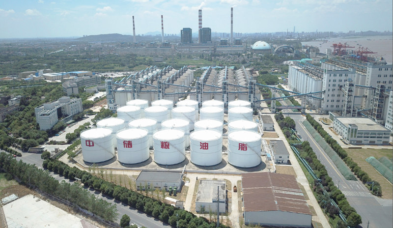 中储粮镇江粮油公司增建油罐总承包工程   中国安装工程优质奖“中国安装之星”